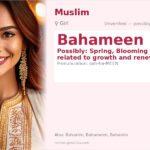 Bahameen Name Meaning and Details