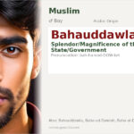 Bahauddawlah Name Meaning and Details