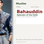 Bahauddin Name Meaning and Details