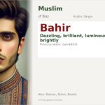 Bahir Name Meaning and Details