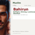 Bahirun Name Meaning and Details