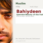 Bahiydeen Name Meaning and Details