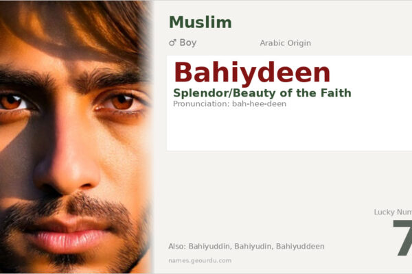 Bahiydeen Name Meaning — Arabic Origin, Boy & Details (2025)