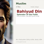 Bahiyud Din Name Meaning and Details