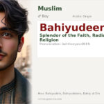Bahiyudeen Name Meaning and Details