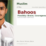Bahoos Name Meaning and Details