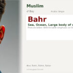 Bahr Name Meaning and Details