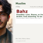 Bahz Name Meaning and Details
