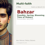 Bahzar Name Meaning and Details