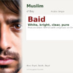 Baid Name Meaning and Details