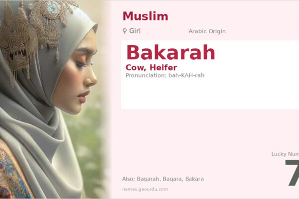Bakarah Name Meaning — Arabic Origin, Girl Name & Quranic Connection