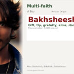 Bakhsheesh Name Meaning and Details