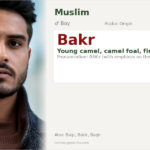 Bakr Name Meaning and Details