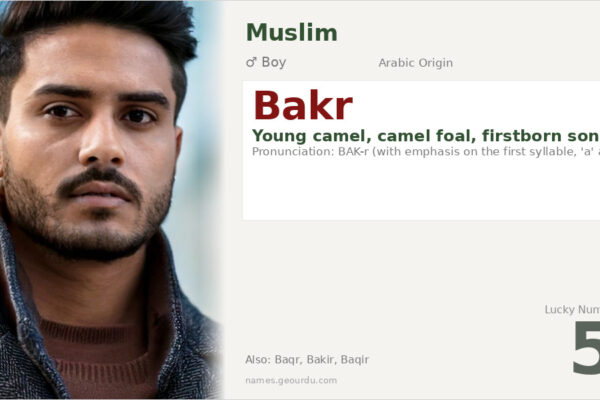 Bakr Name Meaning — Arabic Origin, Boy & Islamic Significance (2025)