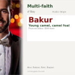 Bakur Name Meaning and Details