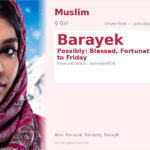 Barayek Name Meaning and Details