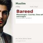 Bareed Name Meaning and Details