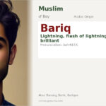 Bariq Name Meaning and Details