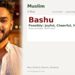 Bashu Name Meaning and Details