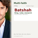 Batshah Name Meaning and Details