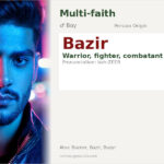 Bazir Name Meaning and Details