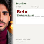 Behr Name Meaning and Details