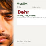 Behr Name Meaning and Details