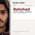 Behshad Name Meaning and Details