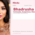 Bhadrusha Name Meaning and Details