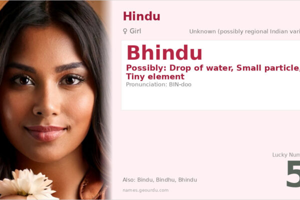 Bhindu Name Meaning — Origin, Gender & Details (2025)