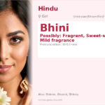 Bhini Name Meaning and Details