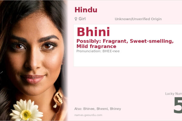 Bhini Name Meaning — Origin, Gender & Details (2025)