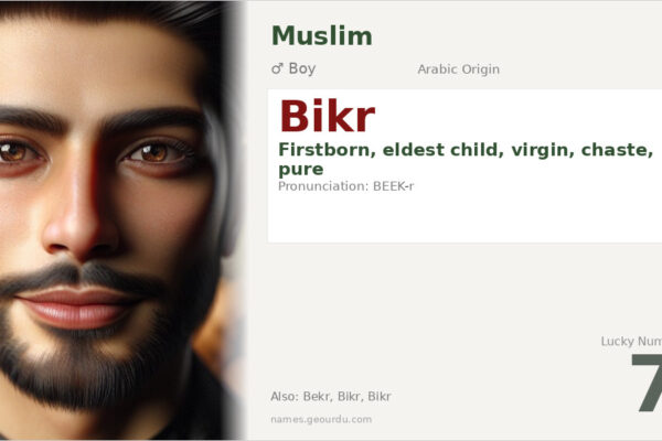 Bikr Name Meaning — Arabic Origin, Boy Name & Details (2025)