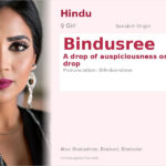 Bindusree Name Meaning and Details