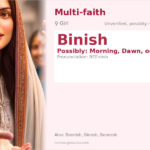 Binish Name Meaning and Details