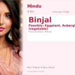 Binjal Name Meaning and Details
