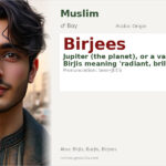 Birjees Name Meaning and Details
