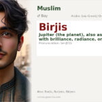 Birjis Name Meaning and Details