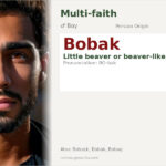 Bobak Name Meaning and Details