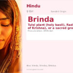 Brinda Name Meaning and Details