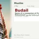 Budail Name Meaning and Details