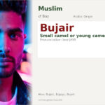Bujair Name Meaning and Details