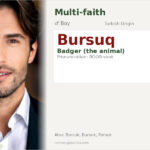 Bursuq Name Meaning and Details