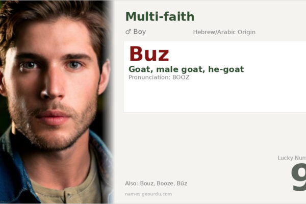 Buz Name Meaning — Origin, Gender & Details (2025)