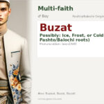 Buzat Name Meaning and Details