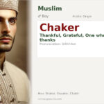 Chaker Name Meaning and Details
