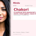 Chakori Name Meaning and Details