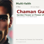 Chaman Gul Name Meaning and Details