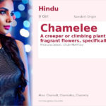 Chamelee Name Meaning and Details