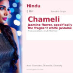 Chameli Name Meaning and Details